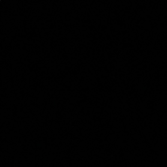 noellepotra